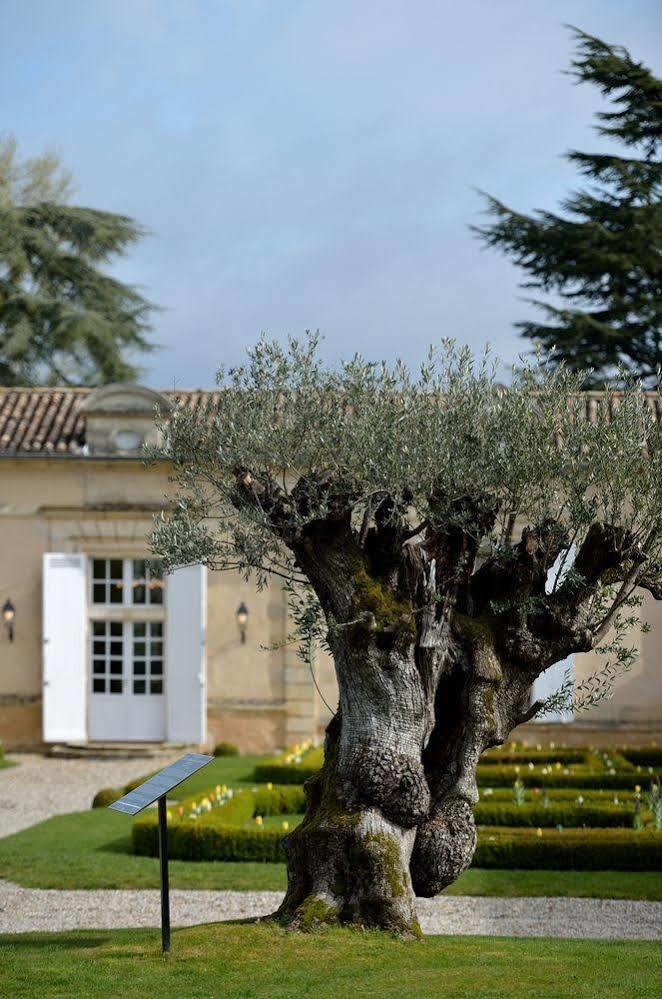 Chateau Fombrauge Saint-Christophe-des-Bardes Экстерьер фото